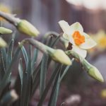 成·人免费午夜视频 21ggv9