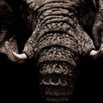 中文字幕日本中文无码 3vyb4q5