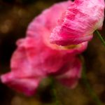 强奷漂亮的女邻居中文字幕 6ii77quadg