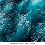 成年网站未满十八禁免费软件 bbxkjrjq4w