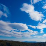 成·人免费午夜视频域名停靠 c98hjmuj