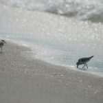 无羞耻肉动漫在线观看 eyx6uvr