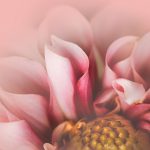 传奇影院 gwtzctkjhu