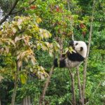 成·人免费午夜无码视频 h47t5r4jk