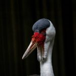 成年女人视频在线播放15 hrtn84pd6f