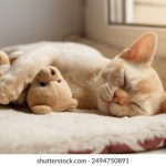 天天爱去 i3uhk5o1