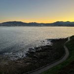 在线亚洲三级 ivimjh