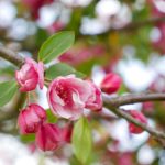 在线亚洲视频无码天堂 lroak4cvm