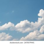 黄页软件有哪些免费版 pqxorvyvq