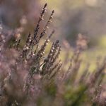 自拍视频综合在线精品 q60hfn