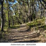 无码人妻一区二区三区免费 soono5