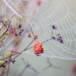 学生露脸在线播放国产 tuptx