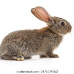 无码精品第1页 xhtpe2t