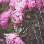 手机在线不卡一区二区 xqlma2