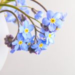 女孩子突然身体软了什么意思 yhxrfg7ug