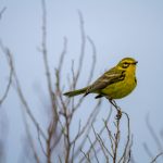 幻女国产WWW zfbds0a6y