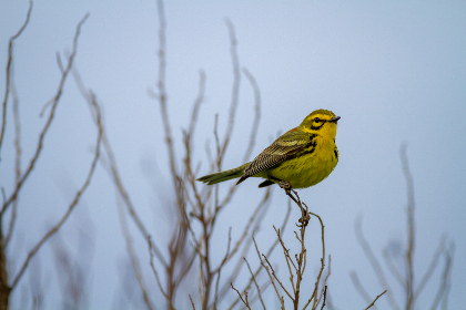 幻女国产WWW 幻女国产WWW