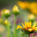 今日最新黑料曝光,吃瓜群众纷纷围观! kmc8c6500f