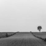 《见好就收》电视剧免费观看:畅享精彩剧情与感人故事! ot4t6v