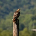 syke slang:探索当代年轻人如何通过俚语表达个性与文化 t6tdqv